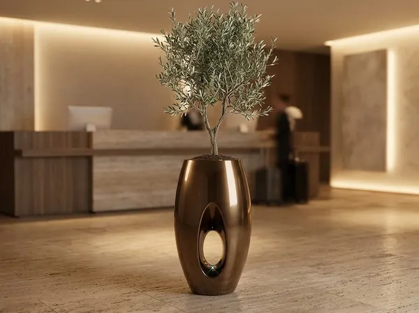 Otel lobisinde bronz damla saksı ve zeytin ağacı